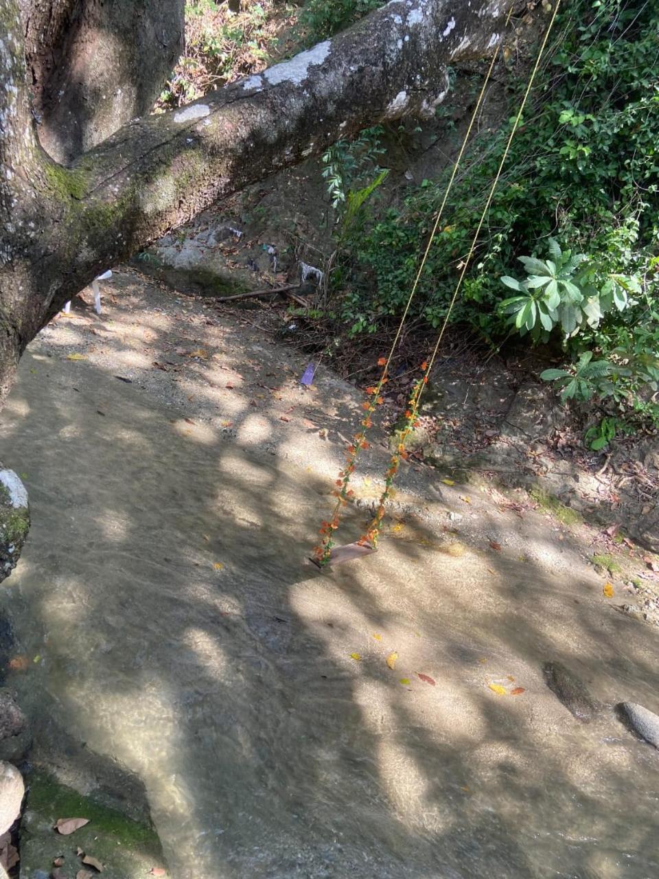 Cascabeles De La Sierra * Santa Marta (Magdalena)